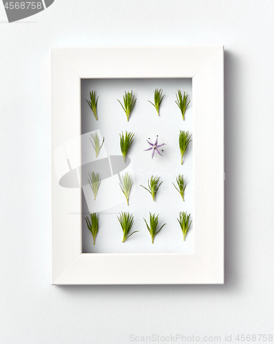 Image of Plant frame with green pine needles pattern on a light background. Greeting card.