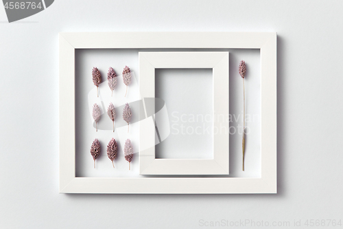 Image of Natural composition from flower buds with empty frame on a light background.