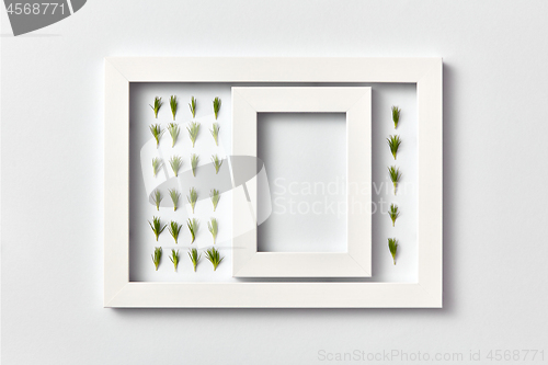 Image of Plant picture of pine twigs needles and empty frame on a light background.