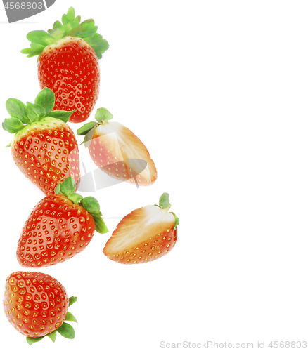Image of Strawberries In a Row