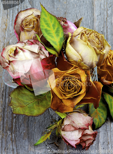 Image of Bunch of Withered Roses