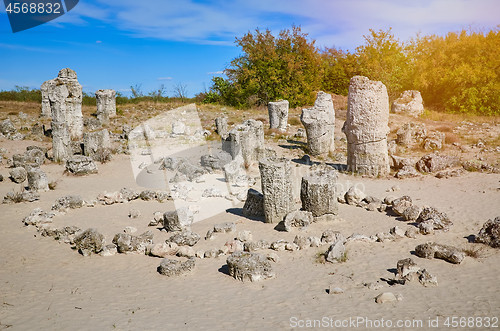 Image of The Stone Desert