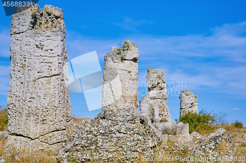 Image of The Stone Desert