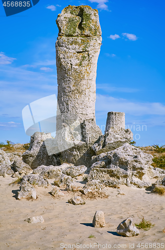 Image of The Stone Desert