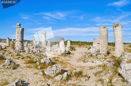 Image of The Stone Desert