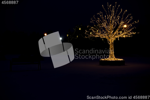 Image of Gold lights Christmas Tree