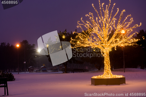 Image of Gold lights Christmas Tree