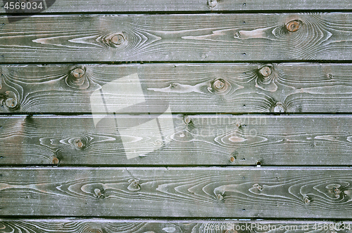 Image of Natural background of wood with annual rings and knots