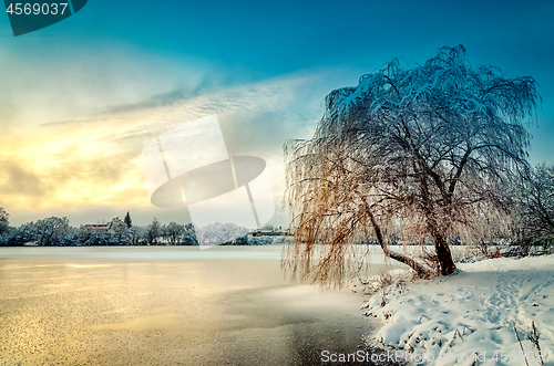 Image of Winter landscape with hoarfrost covered tree and colorful sunset