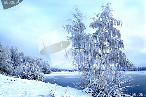 Image of Winter landscape with trees, covered with hoarfrost and lake vie