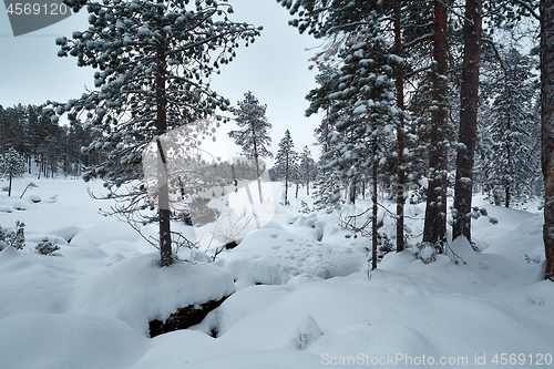 Image of Winter Snowy Landscape