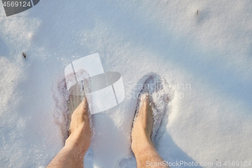 Image of Barefoot in the snow