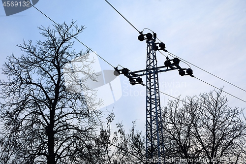 Image of Electric line with leafless trees