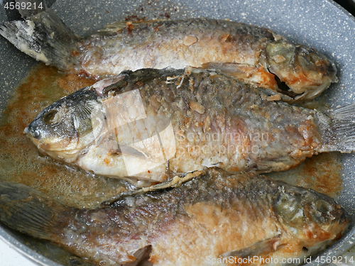 Image of Three crucian fish are fried on a pan