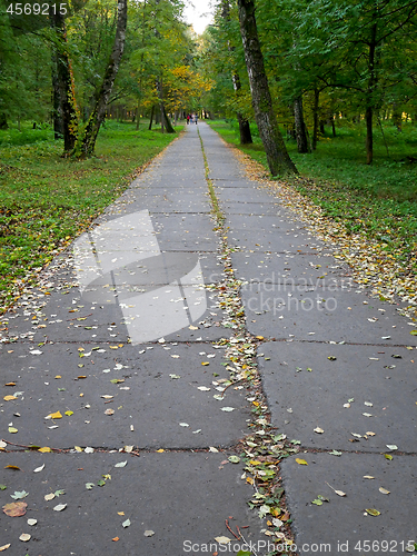 Image of Long park alley with concrete blocks in early autumn 