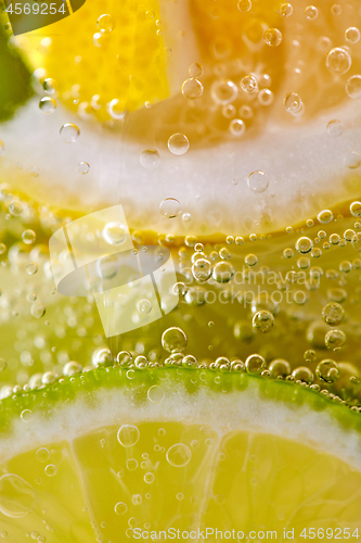 Image of Ripe sliced pieces of lemon and lime in a glass with water and bubbles. Macro photo of summer beverage