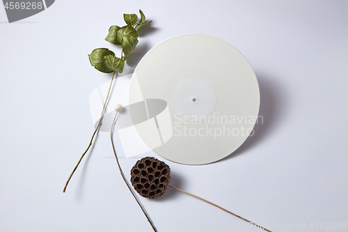 Image of Dry branches and white vinyl audio record on a light background with copy space. Flat lay