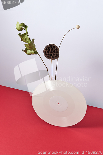 Image of A retro vinyl record with dry branch and a bud on a double gray-red background with copy space.