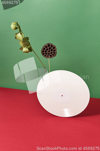 Image of Composition of dry bud, branch and white vinyl audio records on a double red green background with space for text