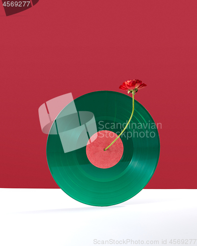 Image of Composition of a red flower decorating a vinyl audio record on a double white red background with copy space