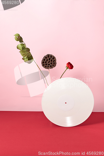 Image of Red flower, dry branches and vinyl audio record on a duotone pink red background with copy space