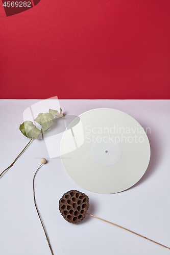 Image of White vinyl audio record and dry branches on a double white red background with copy space. Flat lay
