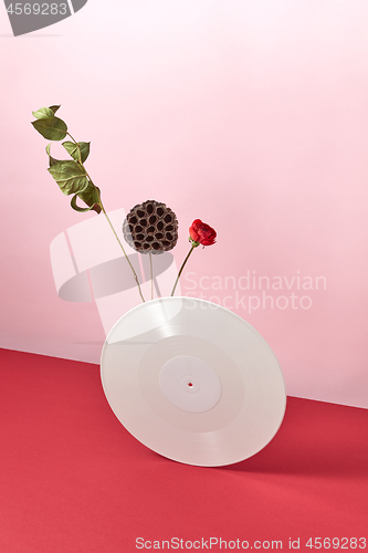 Image of Vinyl retro record decorated with dry branches and a red flower on a duotone pink red background with copy space