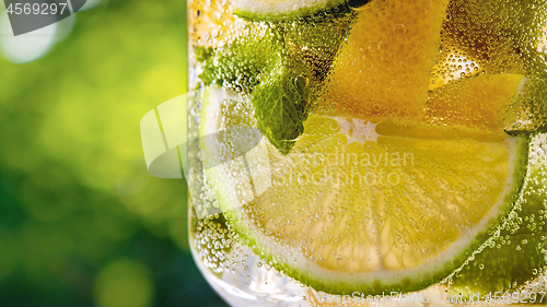 Image of Citrus lemonade summer drink on a green leaves background. Close up.