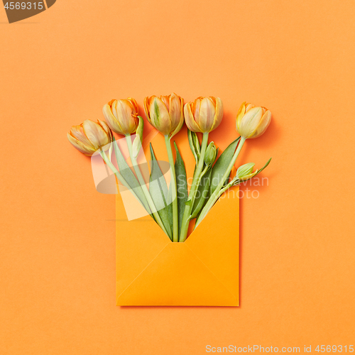 Image of Fresh spring tulips as a gift in a craft envelope on an orange background.