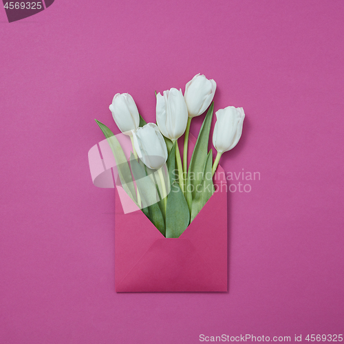 Image of White tulips in an envelope on a purple background.