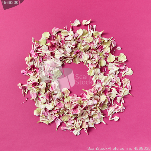 Image of Flower\'s petal round frame on a purple background.