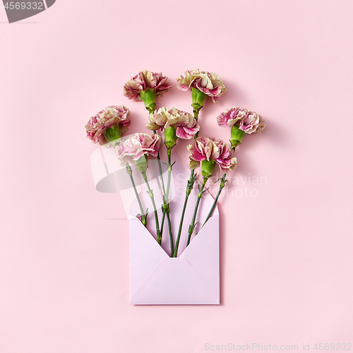 Image of Carnation flowers in an envelope on a pastel pink background.