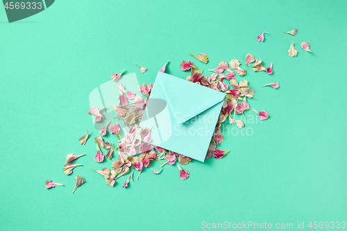 Image of Greeting post card with flowers petals and envelope on a light turquoise background.