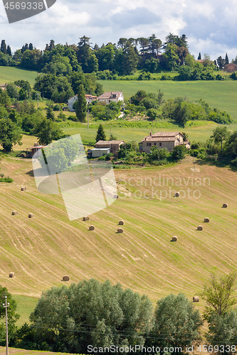Image of Scenery in Marche Italy with straw bales on a field 