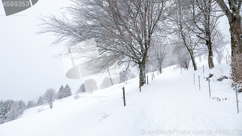 Image of snowy winter scenery