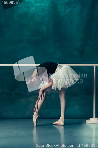 Image of The classic ballerina posing at ballet barre