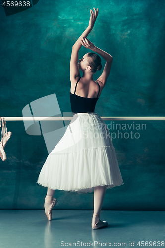 Image of The classic ballerina posing at ballet barre