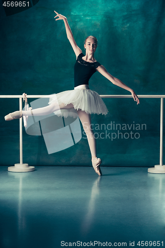 Image of The classic ballerina posing at ballet barre