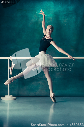 Image of The classic ballerina posing at ballet barre