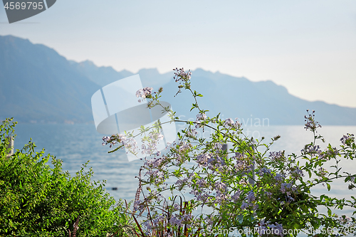 Image of Geneva lake, Switzerland