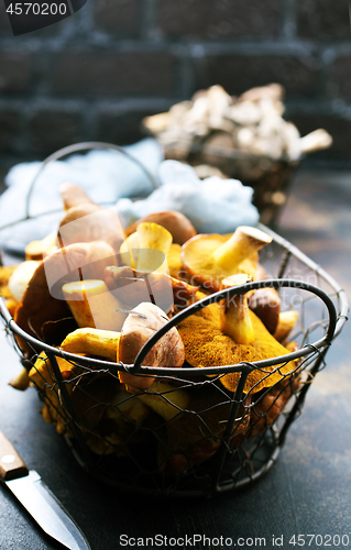 Image of raw mushrooms