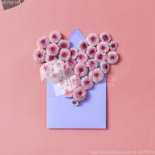 Image of Hardy chrysanthemums heart with envelope for post card on a pastel background.