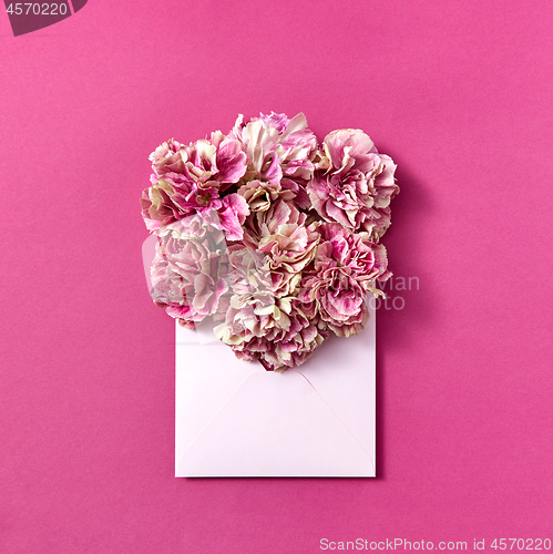 Image of Post card with pink carnation flowers in an envelope on a magenta background.