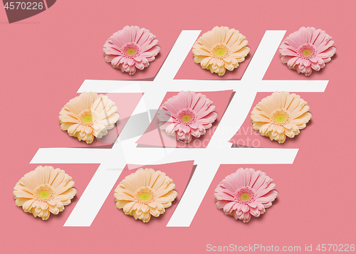 Image of Hash tag sign with flowers on a pink pastel background.
