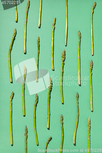 Image of Fresh organic asparagus pattern on a pastel green background.