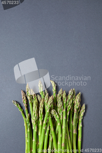 Image of Heap of fresh natural asparagus on a gray background.