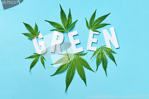 Image of White paper word Green with marijuana leaves on a pastel blue background.