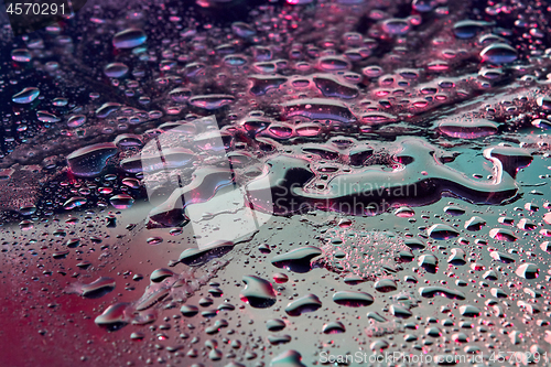 Image of Abstract close-up water background with neon lights.