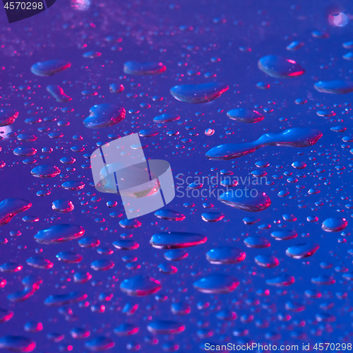 Image of Water drops background highlighted with ultraviolet.