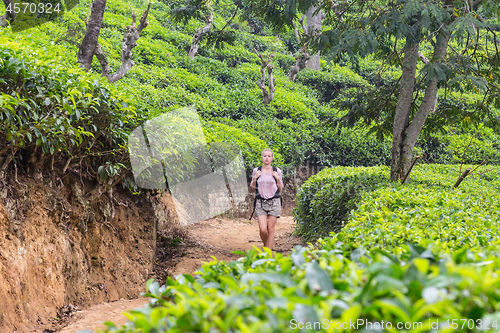 Image of Active caucasian blonde woman enjoing fresh air and pristine nature while tracking among tea plantaitons near Ella, Sri Lanka. Bacpecking outdoors tourist adventure